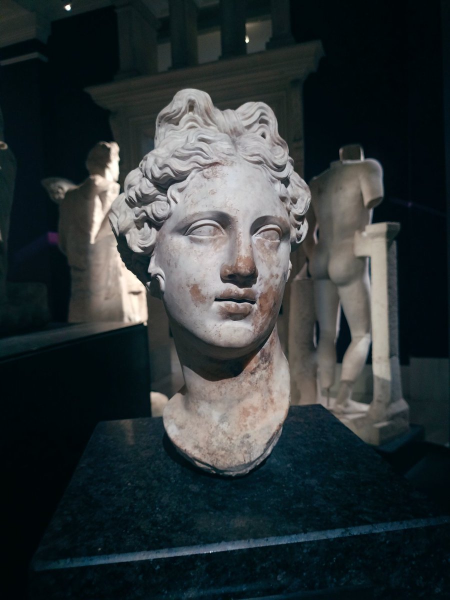 ADHD Foton tweet media