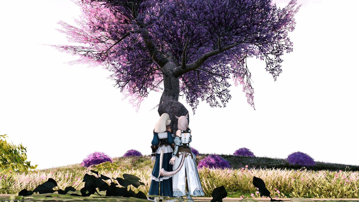 RiRi⑅᜔TeYu tweet media