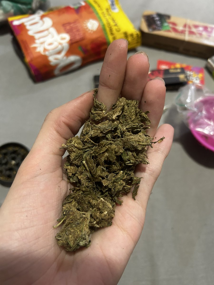 DJ HIBISCO, tabagismo fúnebre ⚰️ tweet media