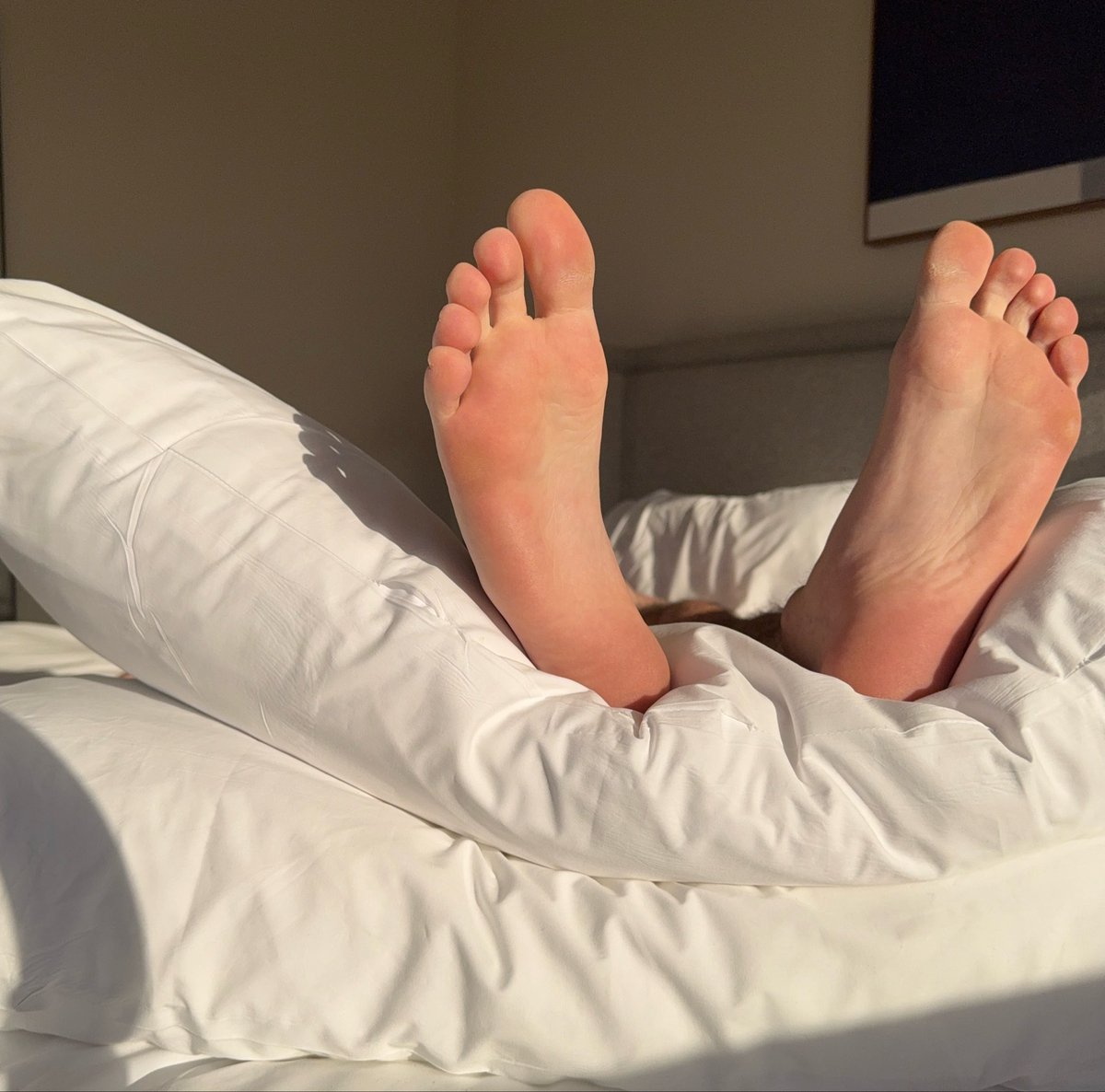 Slate Rock tweet media