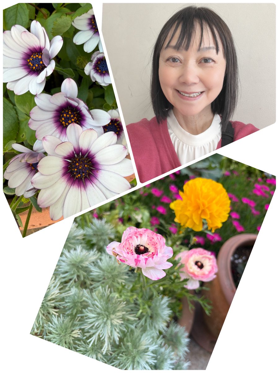 岩瀬まり【松戸市議会議員】🌹 tweet media