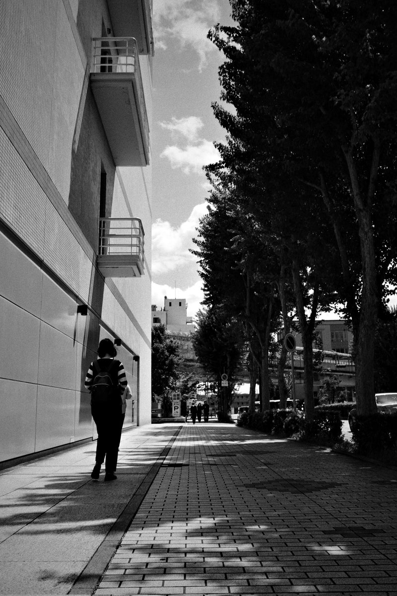 wao_camera's tweet image. こちらは今日からしばらく天気悪いです☁️

GRⅣ monochrome
#GR4monochrome #SnapShot 
#monochrome 
#streetsnap