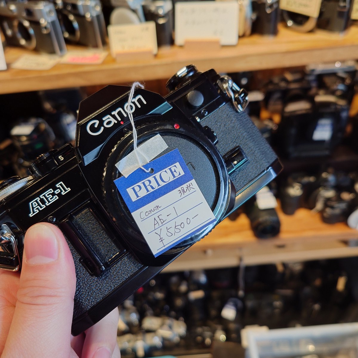 【カメラ店】Inherit Camera-インヘリットカメラ- tweet media