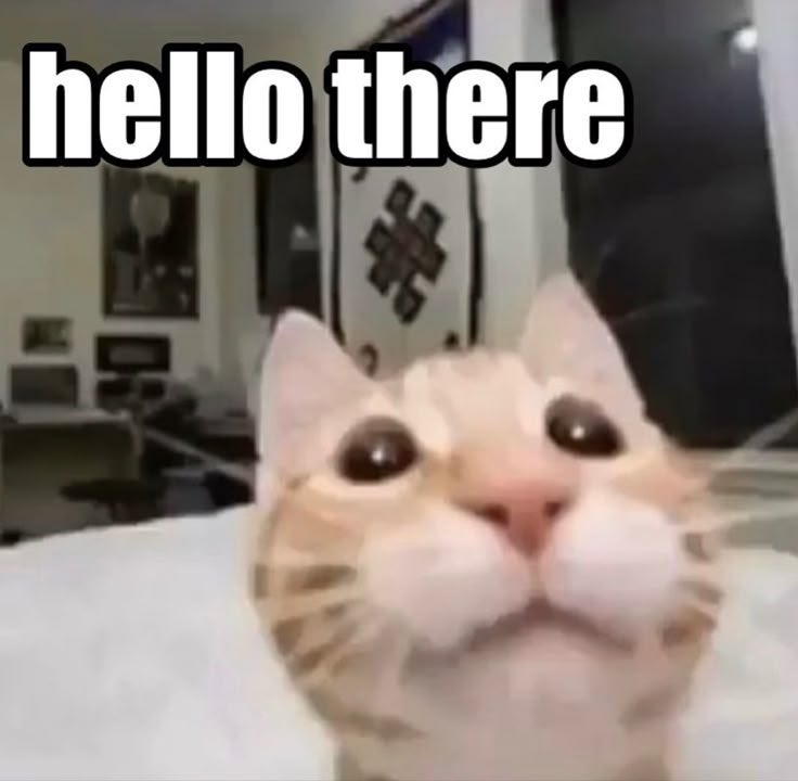 Annunaki1 tweet media