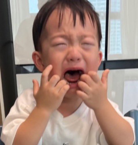 강아지가 왜 이렇게 명문가야 아침부터 눈물 쏟음