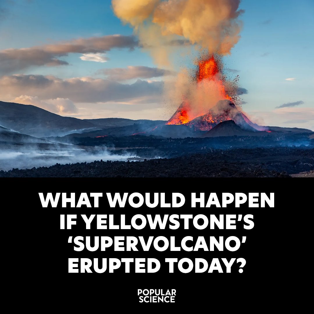 Popular Science tweet media