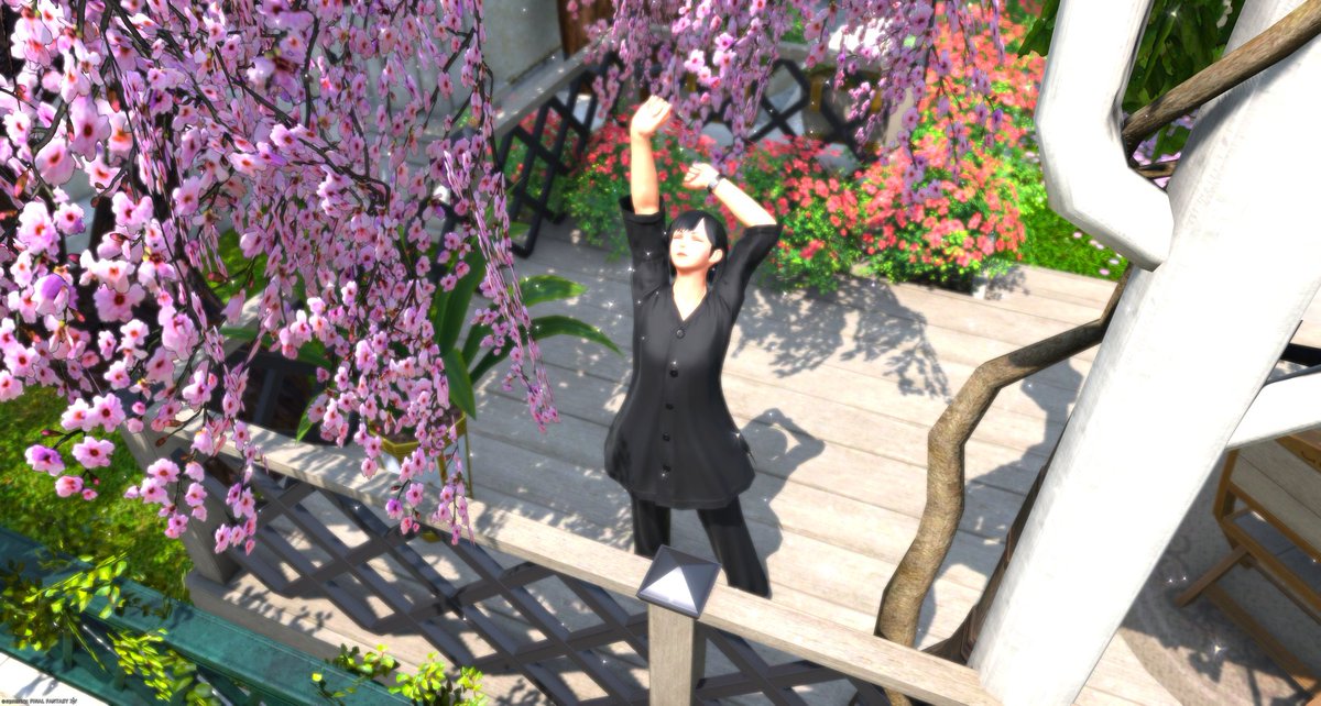 じゅぬ@Ifrit tweet media