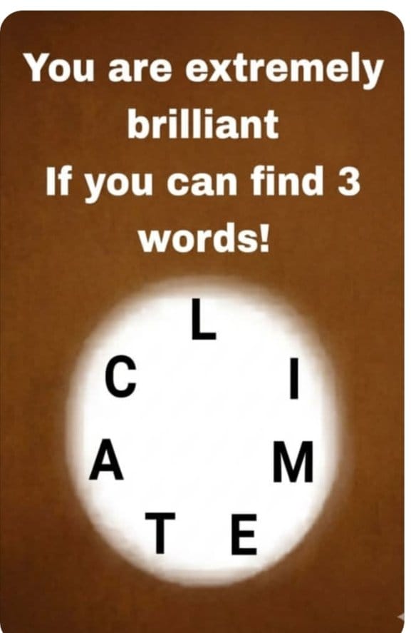 freya 🍓 tweet media