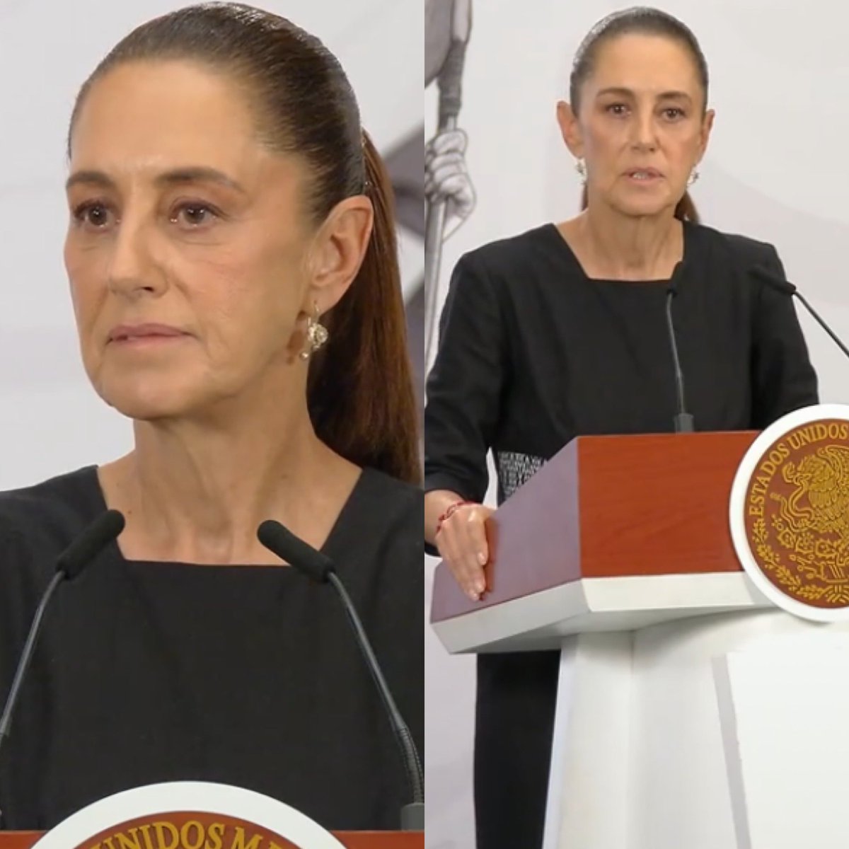 Cerebros tweet media