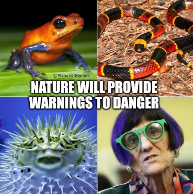 Insanemoondoggie.👀 tweet media