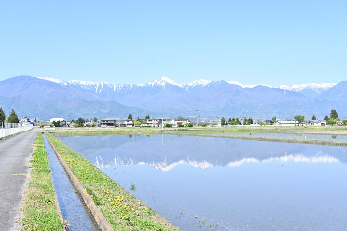Azumino_city tweet picture