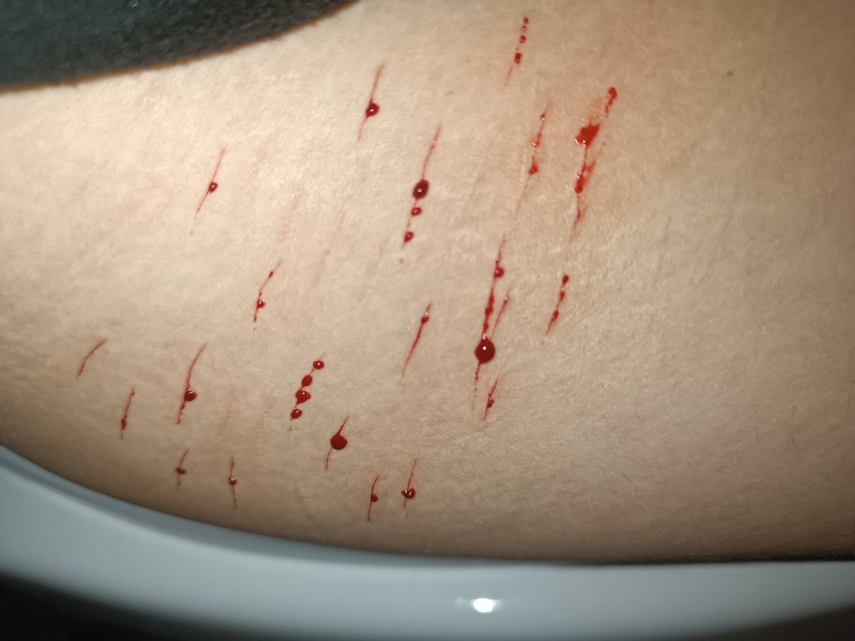 Miuuchar tweet media