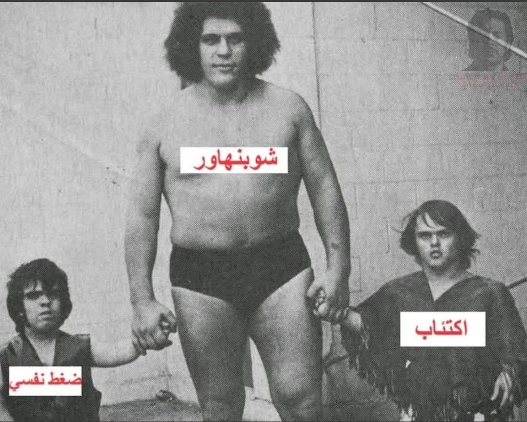 محمد شبانة tweet media