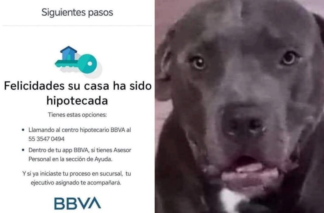 🇲🇽 México Mágico ✨ tweet media