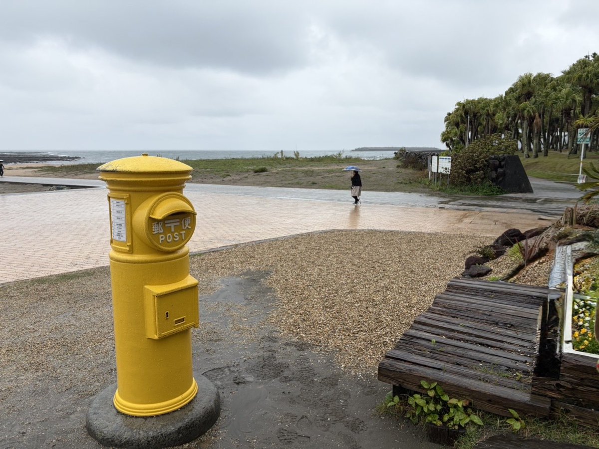 森野もこ tweet media