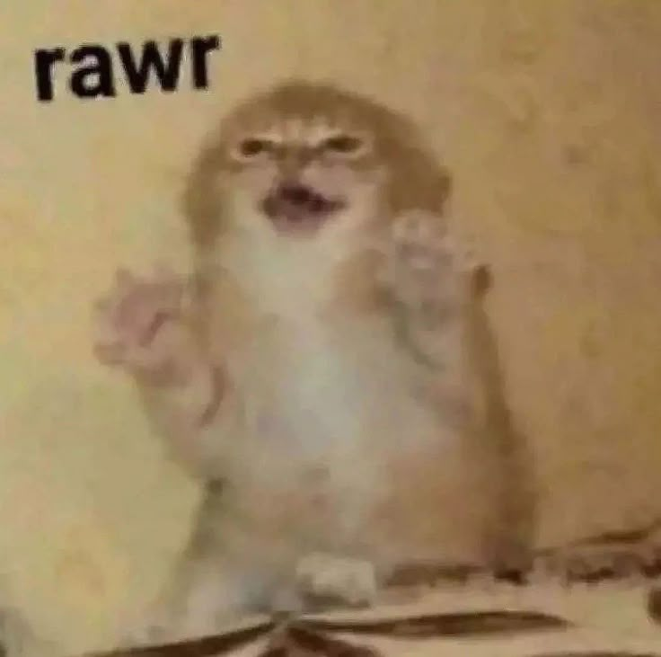 uwu espacial tweet media