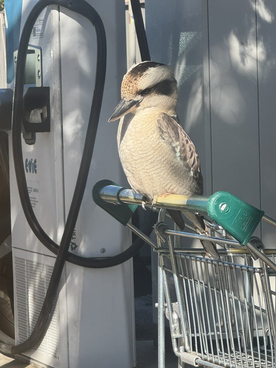 blakandblack tweet media