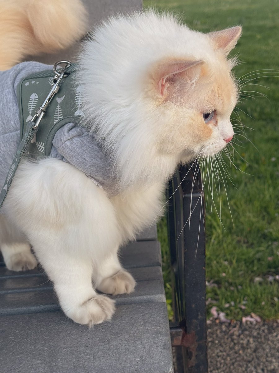 Heidi N. Moore tweet media