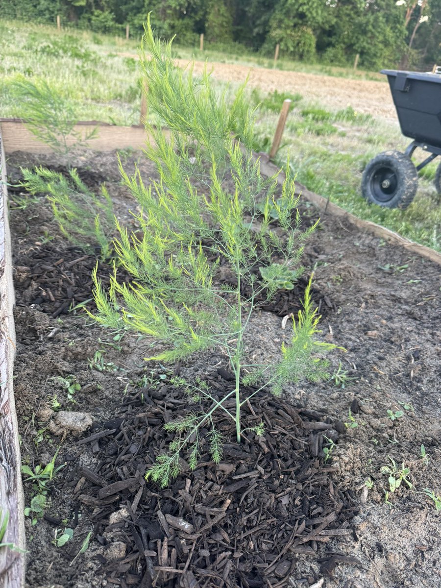 Shawn Hendrix tweet media