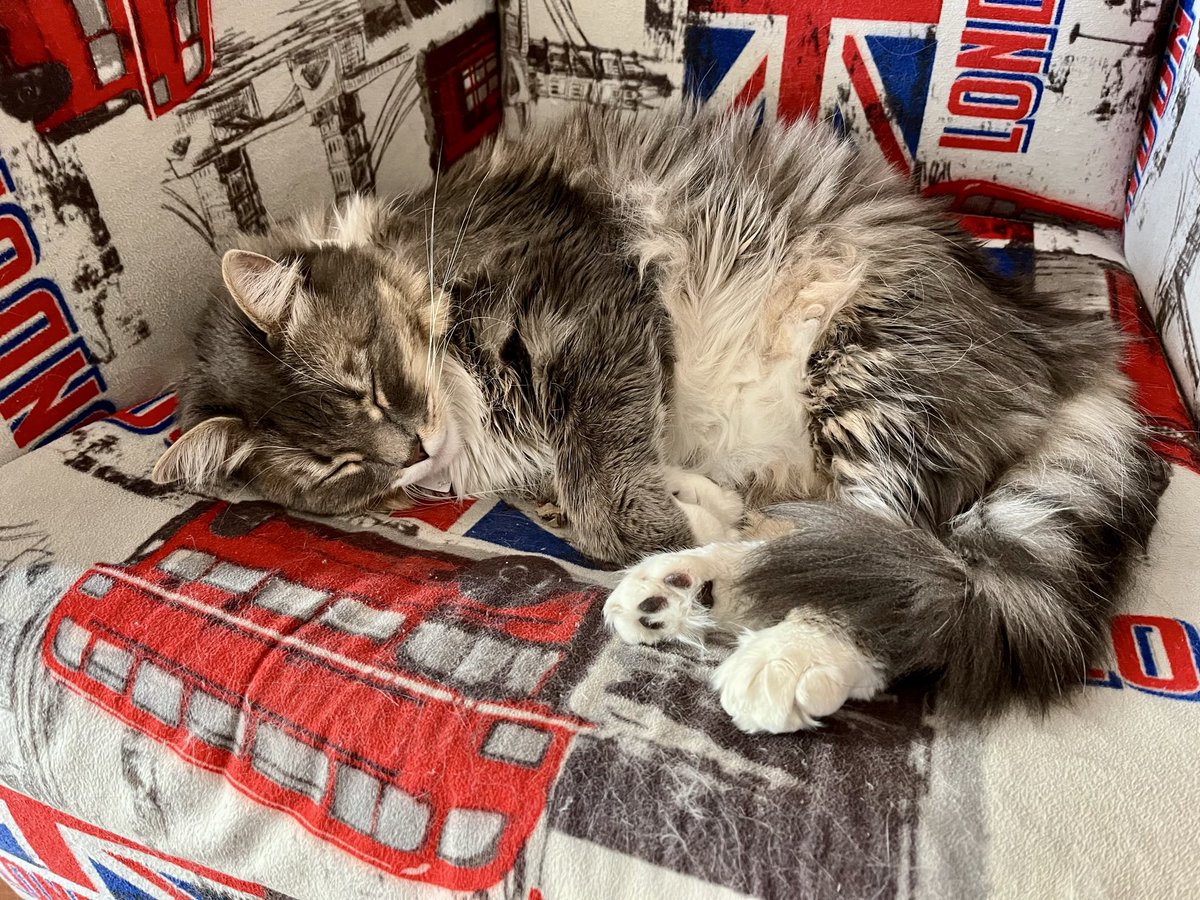 caramjose's tweet image. Ahora si se pasó la artista, rasgó de más el lienzo 😅🙀
#Sky