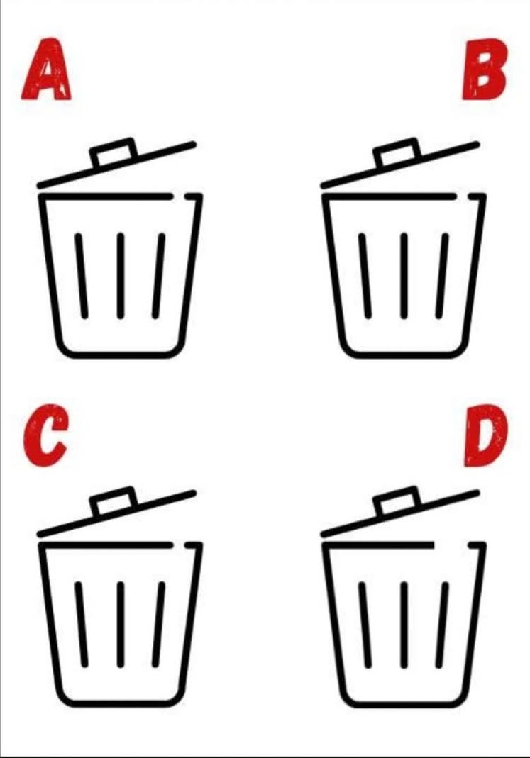 xylomyst✨ tweet media