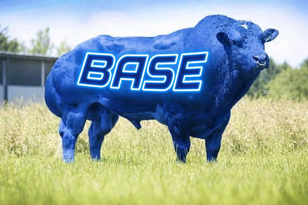 BasedDr3's tweet photo. Just woke up and rememberedโฆ @base
still has the cheapest fees, fastest vibes, and the most based community in all of crypto.
Everyone else is coping on other chains.
Weโre just out here winning on Base
#Base #OnBase https://t.co/XzBYohsU2D