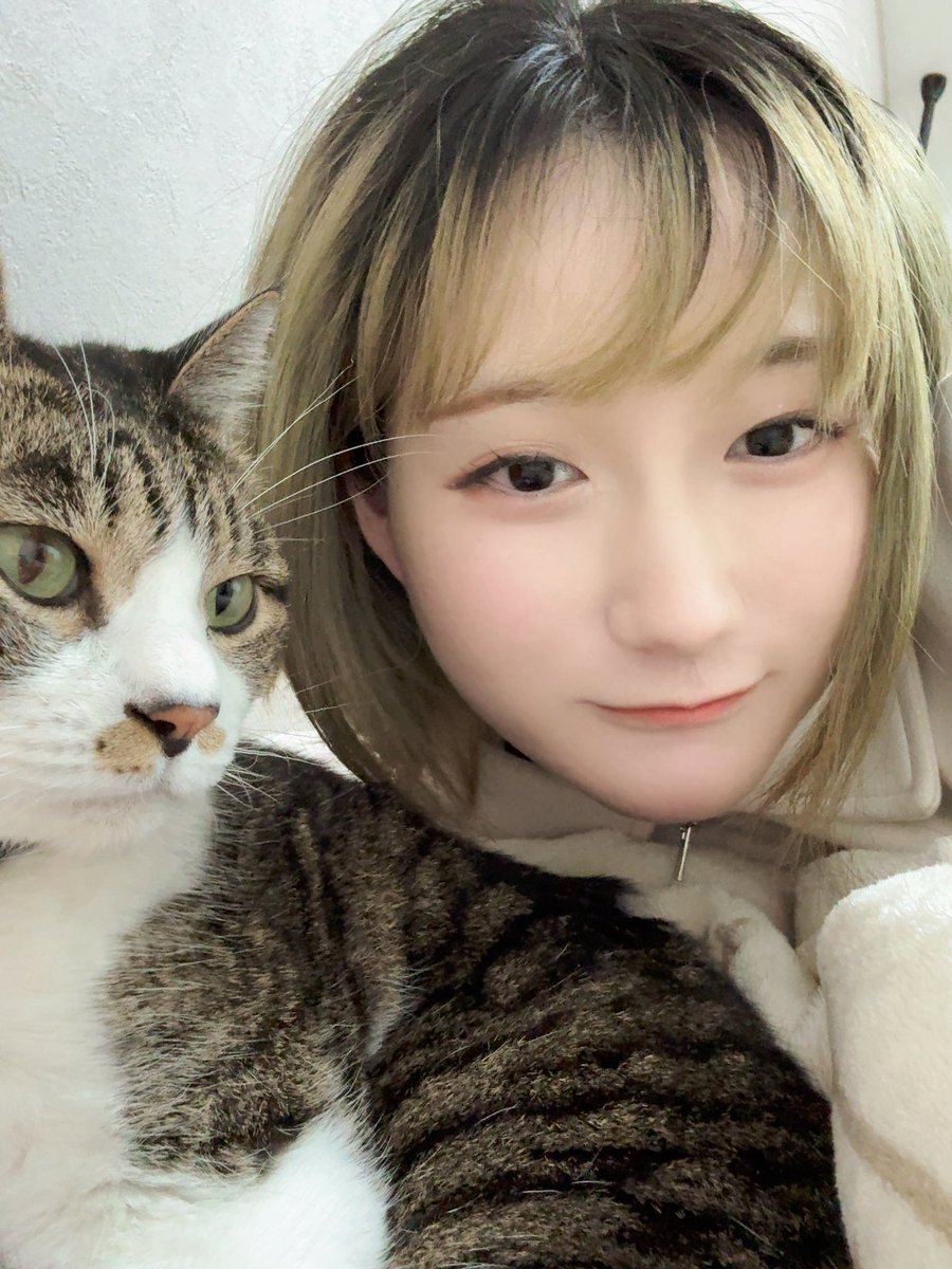 限界ちゃん tweet media