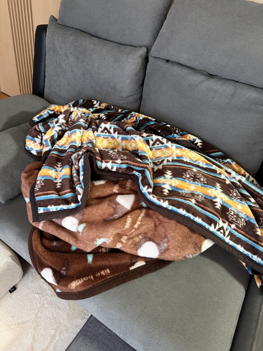 MUGIn_newtw's tweet photo. かくれんぼ中？？！眠いだけ…
#チワワ
#犬のいる暮らし
#朝活 https://t.co/LtFXPM2jNf