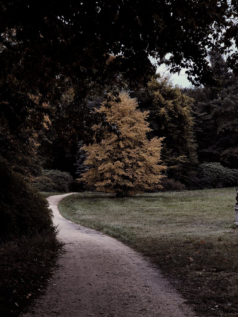 patsweetmoon's tweet image. O que a minha alma acha disso? 
Se o seu peito vibrar, a resposta está dada. 
O resto do mundo é apenas ruído lá fora. 🤎☀️🌷

#NatureScenery #mondaymood