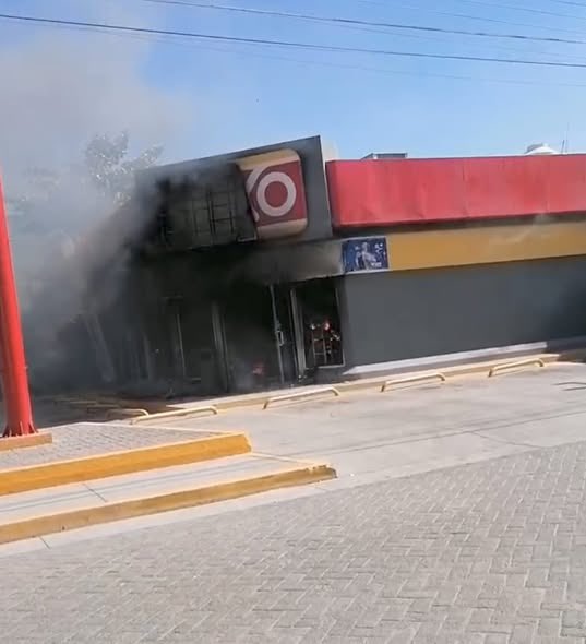 Salem The Cat tweet media