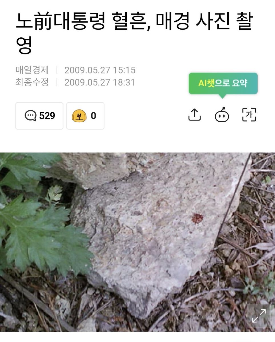 이꼬레통.현지후야후 🐾 🐳 tweet media