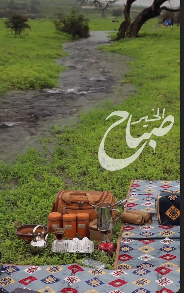 فاطمة الموسوي tweet media