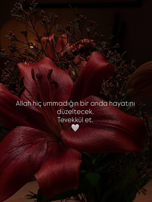 gazatr's tweet photo. Allah'a güven https://t.co/YoGMCUam6P