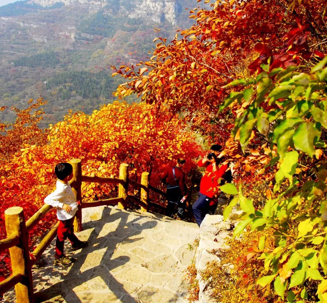 dpu314314's tweet image. Woke up to birdsong, brewed coffee over an open fire, and watched the sun paint the mountains pink. No Wi-Fi, no stress—just dirt under nails and joy in every breath.  #CampLife #NatureFix
