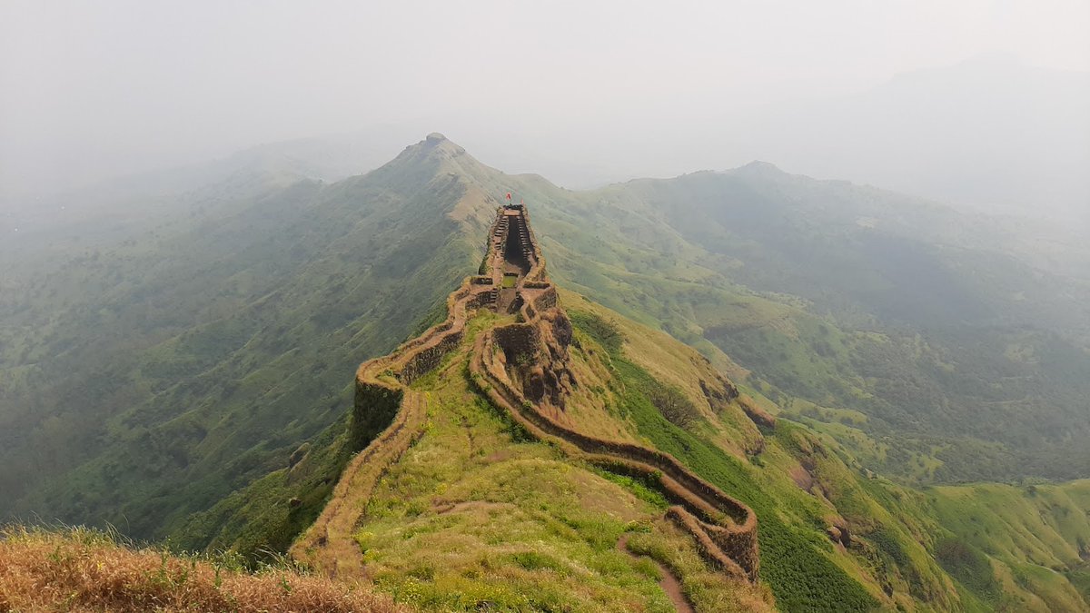 Old World Exploration tweet media