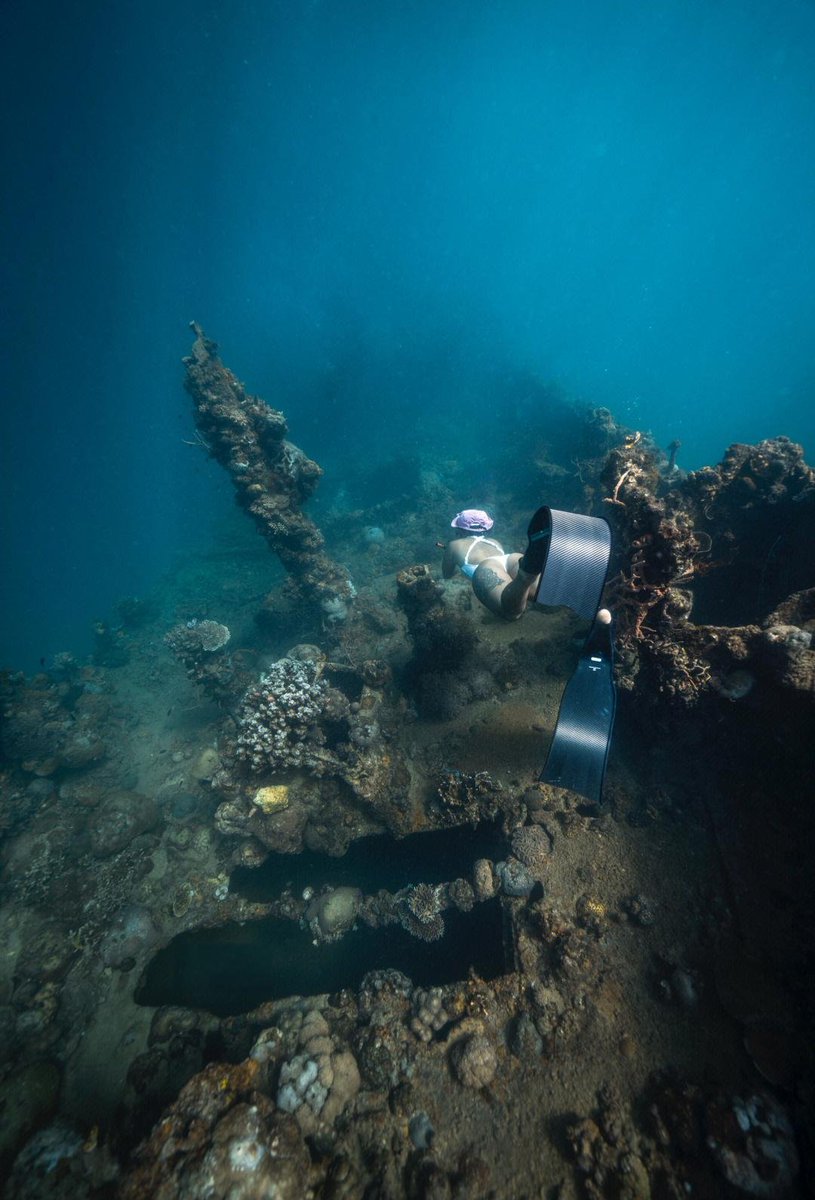 cinthya lizette tweet media