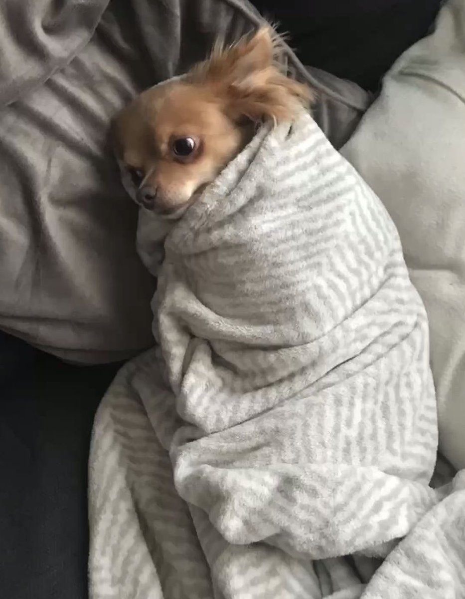 Grace🇺🇬 tweet media