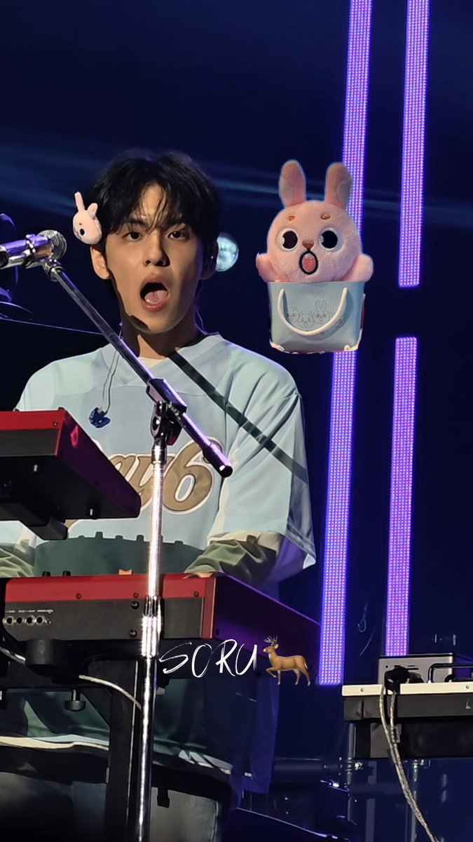 SORU_🦌 tweet media