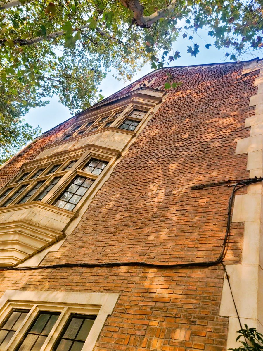 Ela_gunel07's tweet image. Chasing sunsets in Santorini —white-washed villages, blue domes, and wine that tastes like summer. Every corner feels like a postcard.  #SantoriniVibes #TravelDiaries