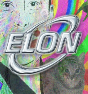 Alanna Bailey tweet media