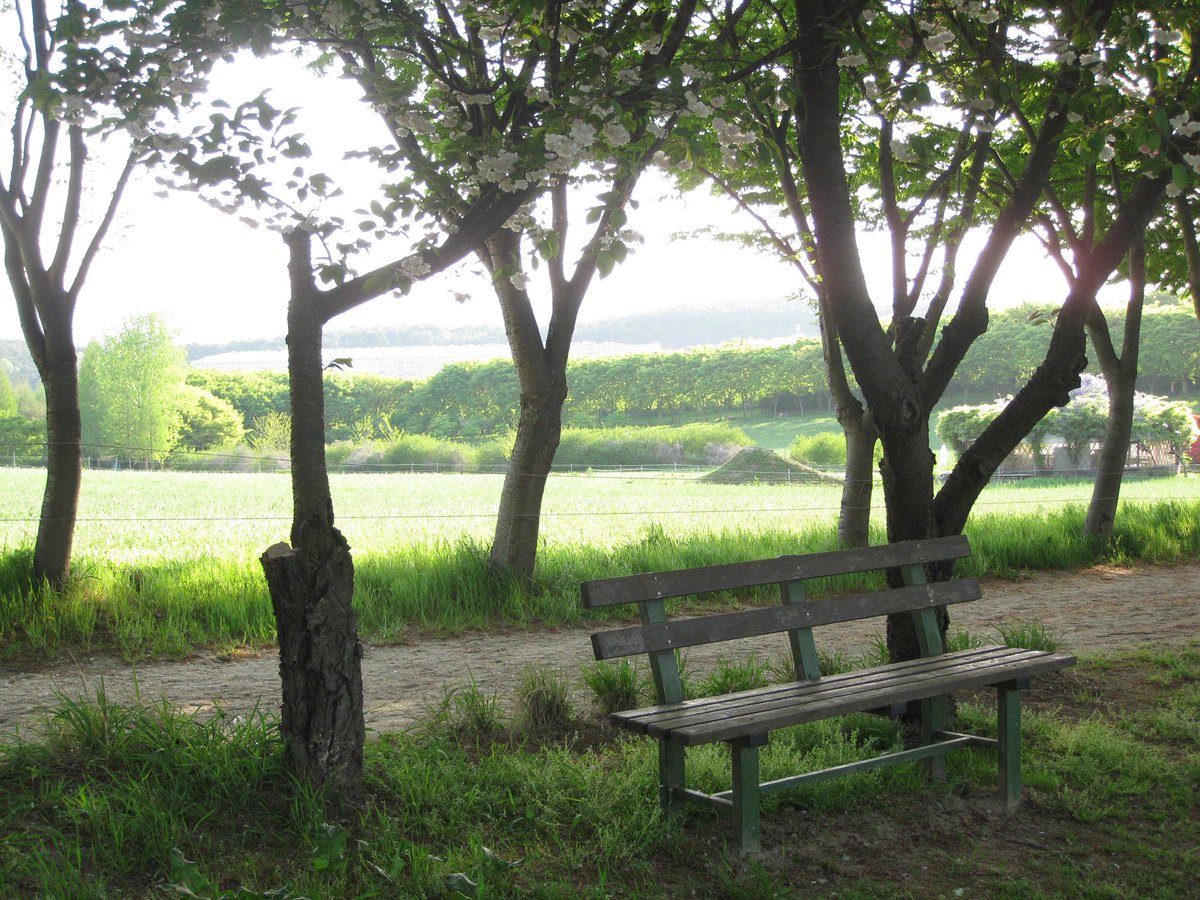 wooyeon.. tweet media