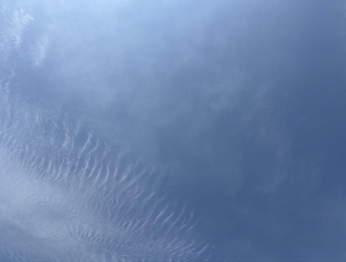 北条るるる@大阪狭山市の土地神 tweet media