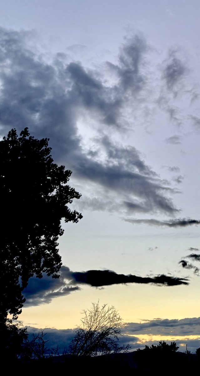 jonimarielew's tweet image. #Nevada #desert #clouds #sunset