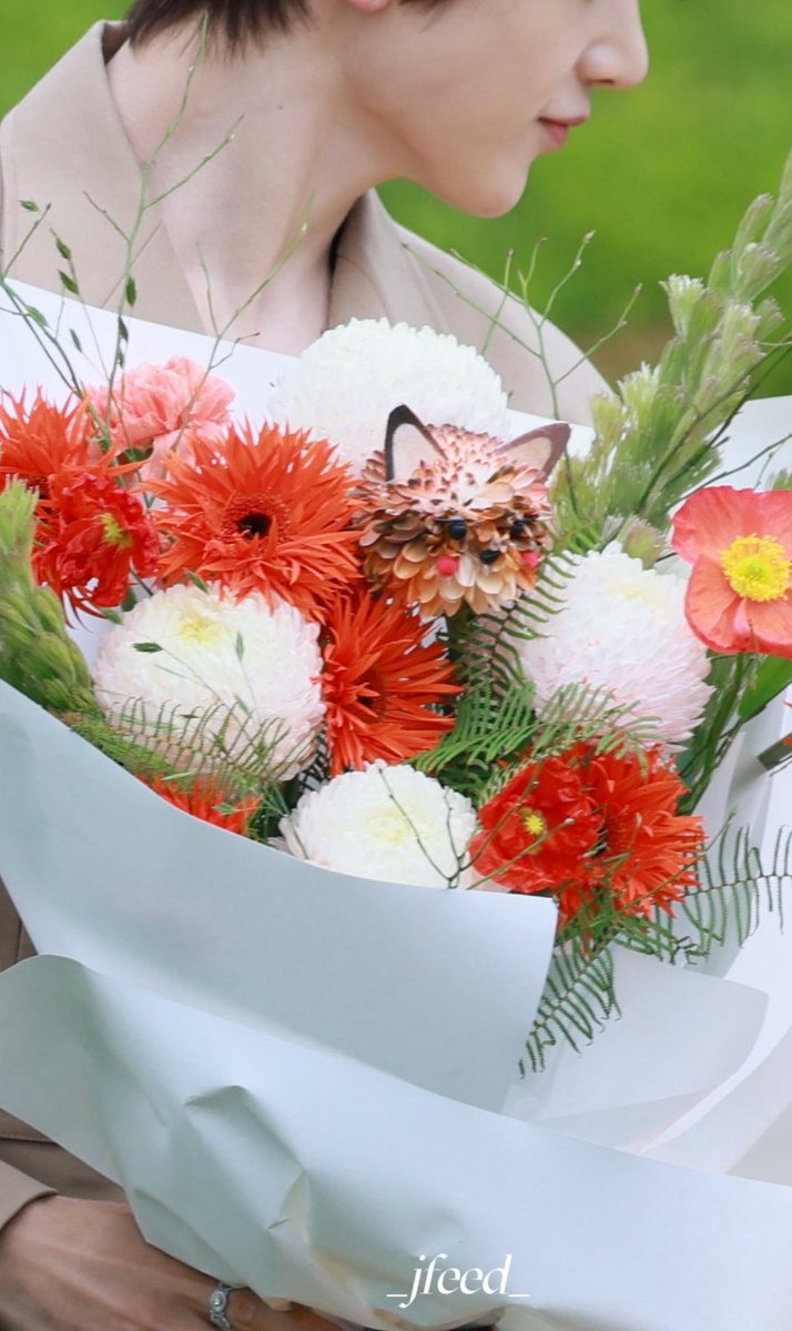 seok matthew archive tweet media