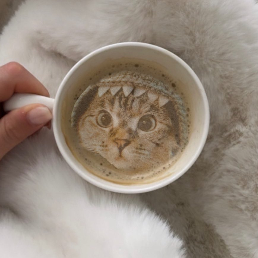 KevinMf11's tweet photo. @binance @milabinance gm! 🦈🐱 https://t.co/WNSNKOJLkz