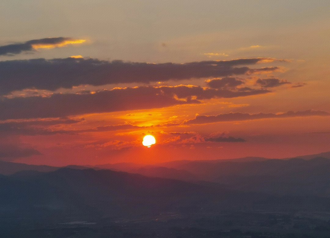 Jan Wijnen tweet media