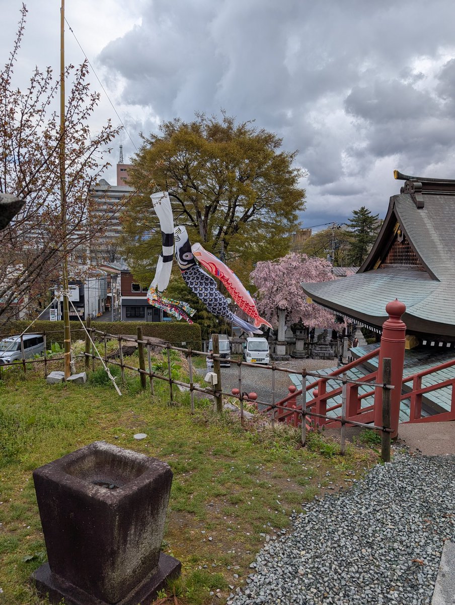 智チーター🐈 tweet media