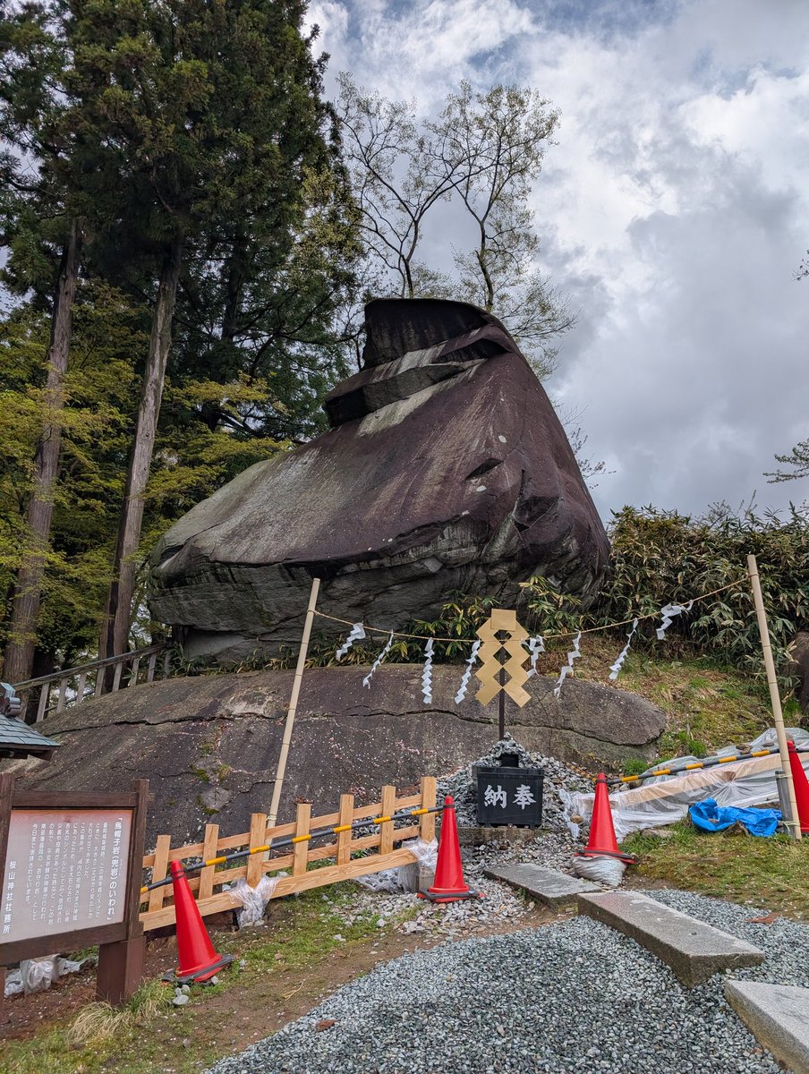 智チーター🐈 tweet media