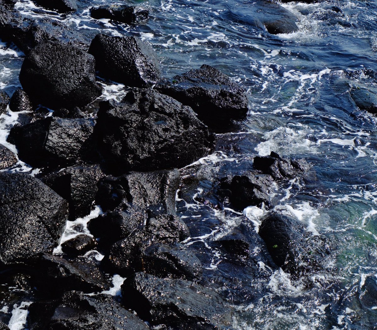 ctrlarchive's tweet photo. jeju island / april’26 https://t.co/i7DzbaB2gN