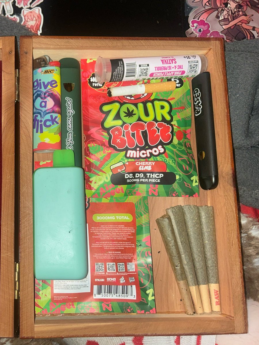 Koi 🐾˚˖𓍢ִ໋🍃 tweet media